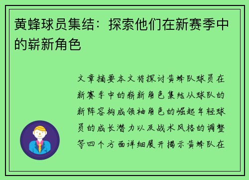 黄蜂球员集结：探索他们在新赛季中的崭新角色