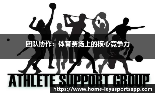 乐鱼体育官网