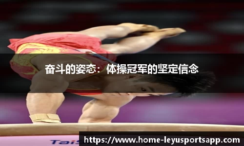 乐鱼体育官网