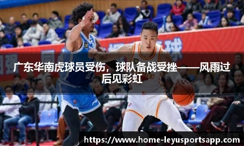 乐鱼体育官网